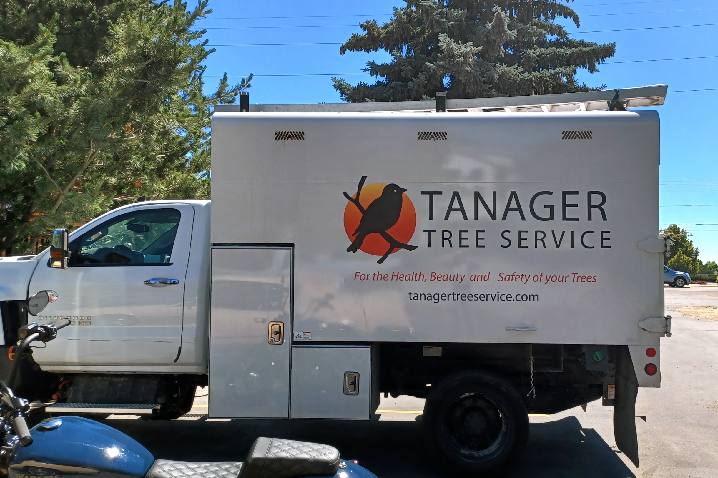 Tanager Box Truck Graphics